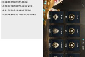 英雄联盟手游自定义充值助手v1.0.0
