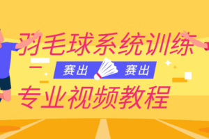 羽毛球系统训练专业视频教程 提高羽毛球水平