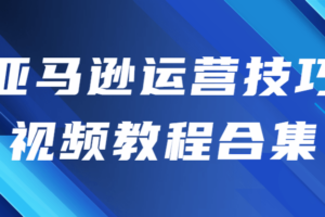 亚马逊运营技巧视频教程合集 小白电商第一课