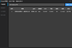 Down哔哩解析下载工具 v0.1.1 bilibili视频解析下载