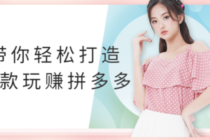 带你轻松打造爆款玩赚拼多多 带你了解电商体系