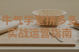 牛气学堂拼多多实战运营指南 零基础学运营