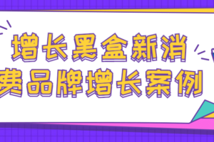 增长黑盒新消费品牌增长案例 新零售新消费数字化增长案例