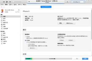 苹果iTunes v12.12.2.2/12.6.5.3