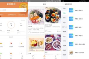 安卓薄荷营养师 v.1.7 绿色版