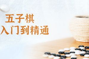 五子棋从入门到精通视频课 五子棋教程