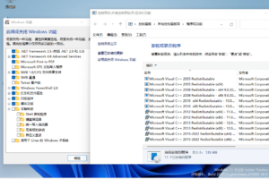 小修Windows11 22000.318专业版