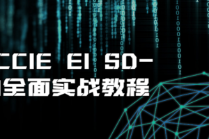 思科CCIE EI SD-WAN全面实战教程