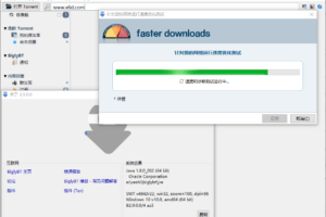 免费BT种子客户端 BiglyBT v2.9.0