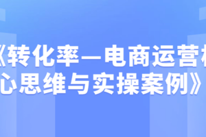 《转化率—电商运营核心思维与实操案例》