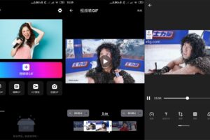 安卓GIF助手 v3.3.8 绿色版
