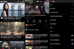 安卓油管纯净版 Pure Tuber v3.1.81.103 绿色版