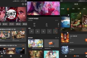 安卓盼盼影视 v1.0.4 绿色版