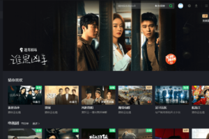 PC爱奇艺 v8.12.147.5525 绿色版