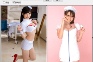 PicPrinter图片排版打印 v1.0 绿色版