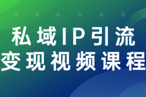 私域IP引流变现视频课程