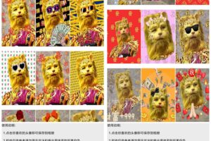 安卓金钱豹头像合集 v1.0 最近很火的金钱豹头像