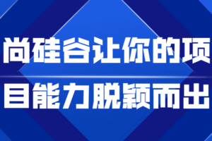 尚硅谷让你的项目能力脱颖而出
