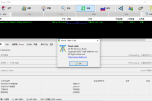 BT磁力下载工具 Tixati v2.88 汉化版