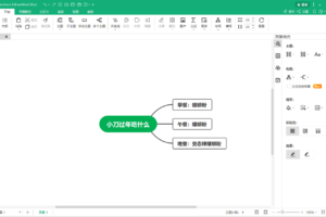 万兴亿图脑图 EdrawMind Pro v9.1.0 绿色版