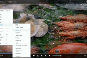 蓝光影音播放软件 DVDFab Player v7.0.0.3高级版