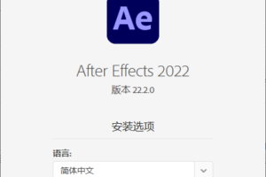 Adobe After Effects 2022 22.2