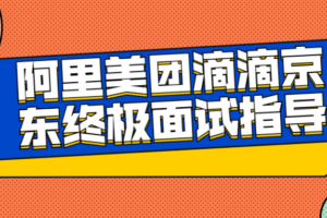 阿里美团滴滴京东终极面试指导