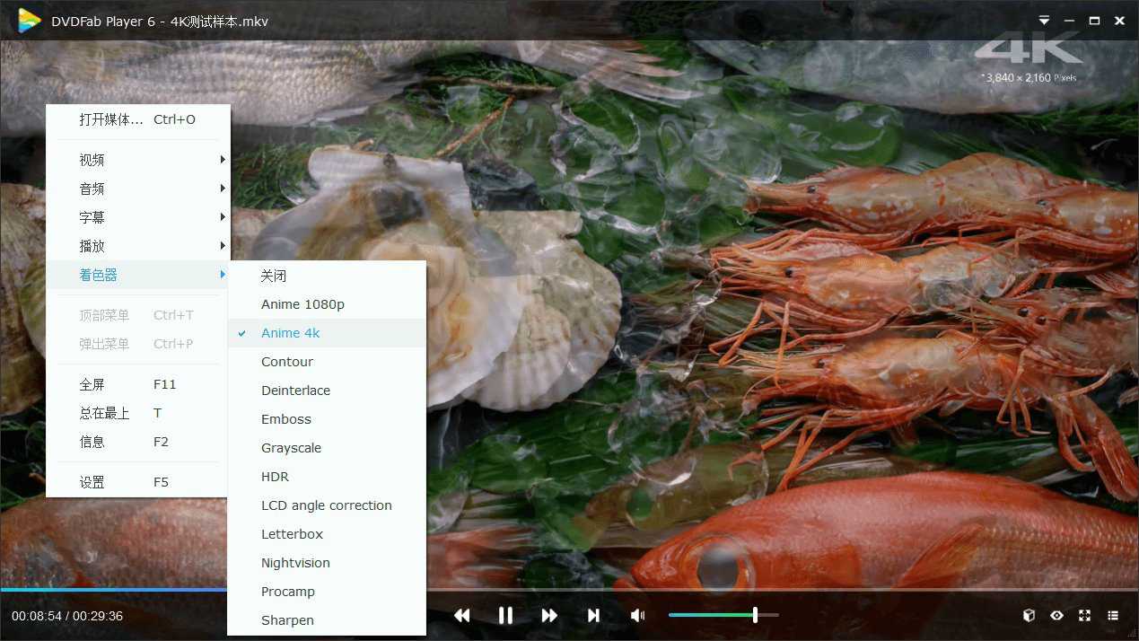 DVDFab Player v7.0.0.4高级版-1