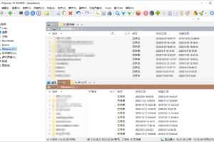 多标签文件管理器 XYplorer v22.90.0100汉化版