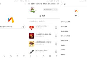 安卓Via浏览器 v4.3.6 国内版