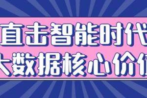 直击智能时代大数据核心价值