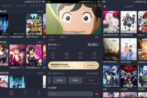 安卓横风动漫 v1.3.2.7 绿色版