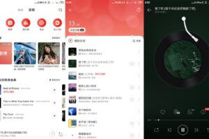 安卓网易云音乐 v7.2.22 绿色版