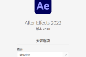 图形视频处理软件 Adobe After Effects 2022 22.3
