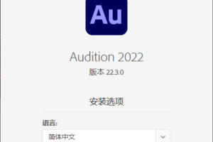 Adobe Audition 2022 v22.3.0.60 音频编辑软件