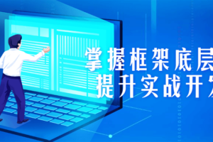 掌握框架底层源码，提升实战开发能力