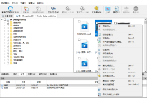数据恢复软件 R-Studio v9.0.190312 便携版