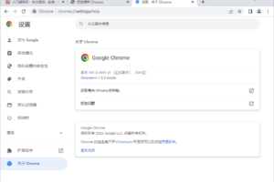 谷歌浏览器Google Chrome v101.4951.41 增强版