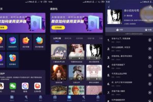 安卓语聊音频变声器 v1.1.6 绿色版