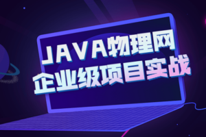 JAVA物理网企业级项目实战