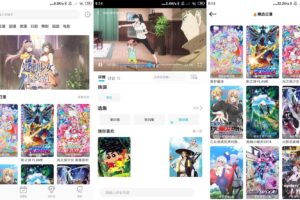 安卓星星动漫 v5.2.4 绿色版