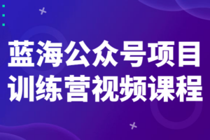 蓝海公众号项目训练营视频课程 教你运营公众号
