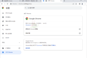 谷歌浏览器增强版 Google Chrome v102.0.5005.63