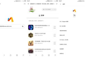 安卓Via浏览器 v4.3.9 谷歌版