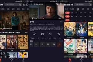 安卓番茄影视 v2.0.5 绿色版