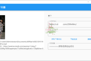 PC+安卓短视频下载工具