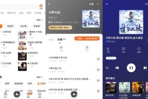 安卓番茄畅听 v4.0.5.32 绿色版