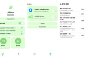 安卓纯粹Pro v2.6 自动跳过广告