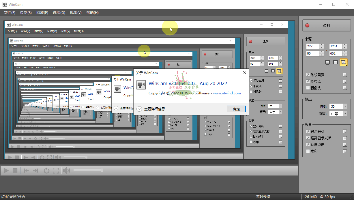 WinCAM屏幕录像 v2.0.0.0 中文版