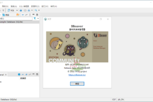 数据库管理软件 Dbeaver community v22.2.1绿色版